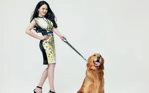 女明星樊蕊壁纸_14