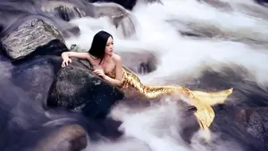 美人鱼图片_3