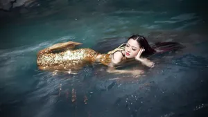 美人鱼图片_4