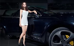 保时捷卡宴美女模特壁纸_5