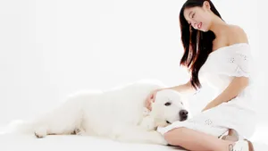 韩国美女李成敏壁纸_1