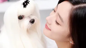 韩国美女李成敏壁纸_1