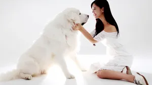 韩国美女李成敏壁纸_3