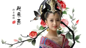 佟丽娅桌面壁纸_12