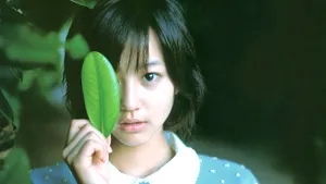 堀北真希图片壁纸_11