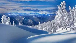 冬雪雪景壁纸大全