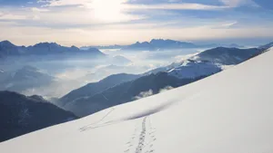 冬雪雪景壁纸大全_2