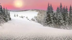 冬雪雪景壁纸大全_3