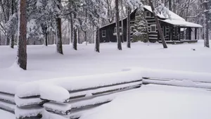冬雪雪景壁纸大全_5
