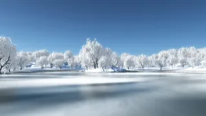 冬雪雪景壁纸大全_9