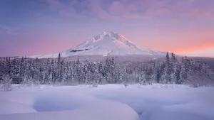 冬雪雪景壁纸大全_10