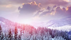 冬雪雪景壁纸大全_15