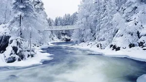 冬雪雪景壁纸大全_16