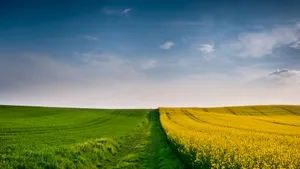 美到极致的自然风景壁纸_7