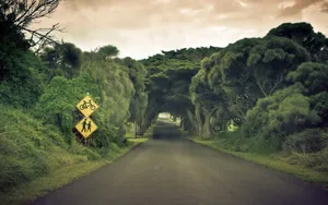 精选宽屏风景类桌面壁纸_8