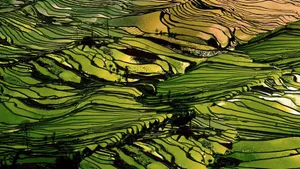 令人陶醉的风景桌面壁纸_9