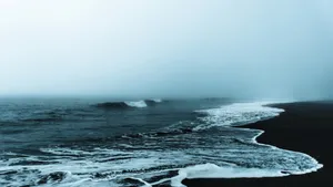 大海海洋的图片壁纸_6