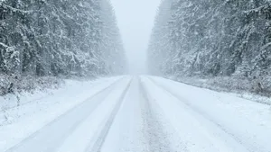 冬季雪天道路风景壁纸_3