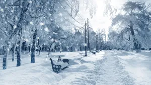 冬季雪天道路风景壁纸_5