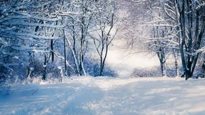 冬季雪天道路风景壁纸_6