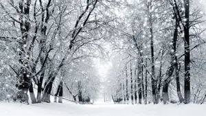 冬季雪天道路风景壁纸_7