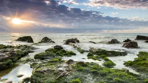 大海海岸岸边风景壁纸_2