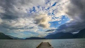 加拿大温哥华哈里森湖风景图片_11