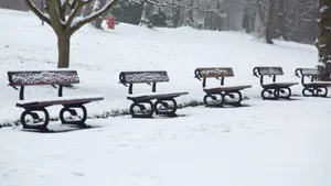 冬季雪地公园长椅图片_6