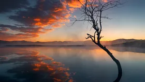 乌兰布统风景桌面壁纸_9