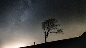 夜空中繁星点点图片_8