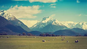 优美的山峰山顶图片_4