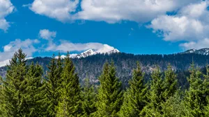 优美的山峰山顶图片_5