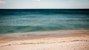 海浪沙滩图片壁纸_8