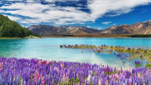精选湖泊山水风景大全_5