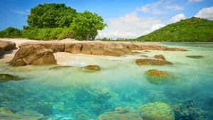清透海底珊瑚景色图片_5