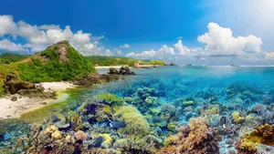 清透海底珊瑚景色图片_6