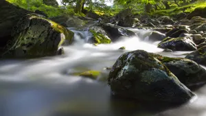 涓涓溪流图片_3