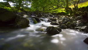 涓涓溪流图片_5