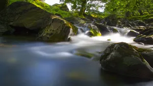 涓涓溪流图片_7