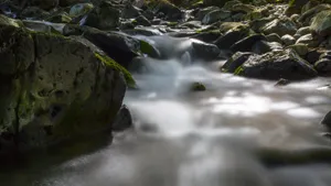 涓涓溪流图片_8