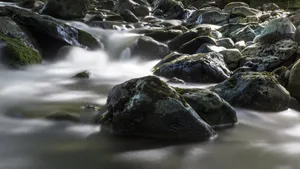 涓涓溪流图片_9