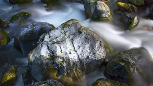 涓涓溪流图片_10