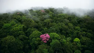 美丽的自然风景图片大全_5