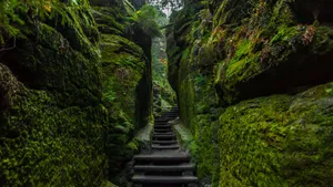 美丽的自然风景图片大全_9