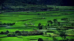 贵州兴义万峰林风景_4