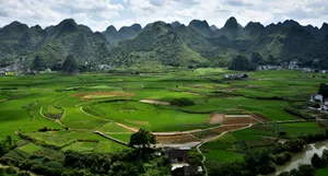 贵州兴义万峰林风景_10