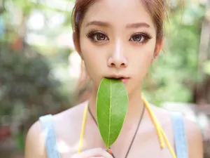 桂晶晶图片桌面壁纸