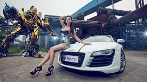 美女车模金美辛图片壁纸