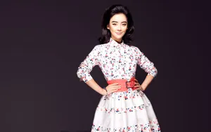袁姗姗图片壁纸_7