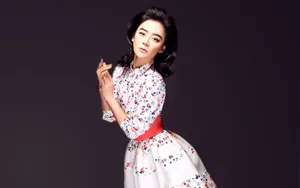 袁姗姗图片壁纸_9